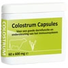 Foto Colostrum Capsules