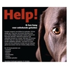 Foto CD: Help! Ik ben bang voor onbekende geluiden