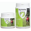 Foto Dog Mobility (Excellent)