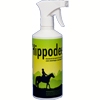 Foto Hippodeet 