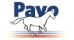 Pavo