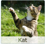 Bestel Kat producten